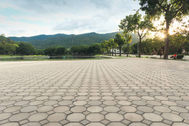 Best Driveway Paving Contractor  in Pine Bluffs, WY